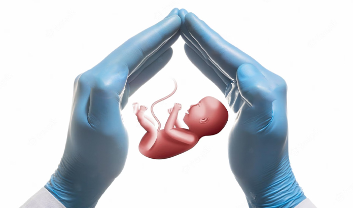 embriyo donasyonunda gizlilik ve anonimlik