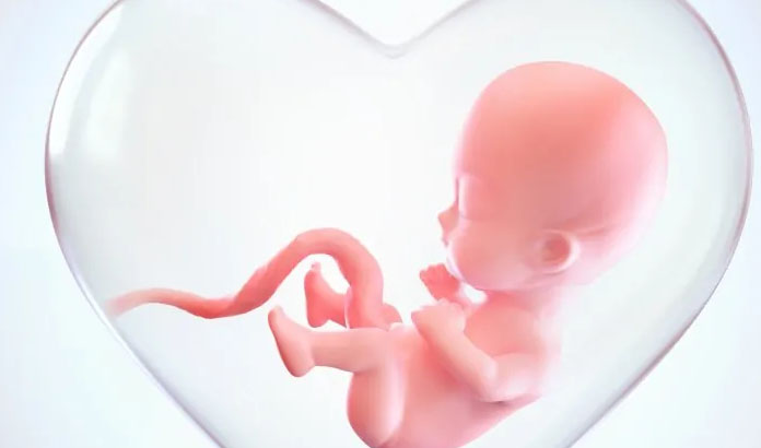embriyo transferi sonrası belirti ve bulgular